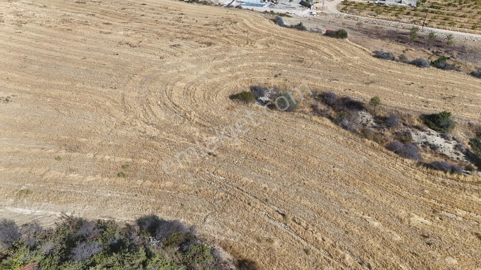 Hakev'den Oyalıda Satılık 894 M2 Arsa — fotoğraf 21
