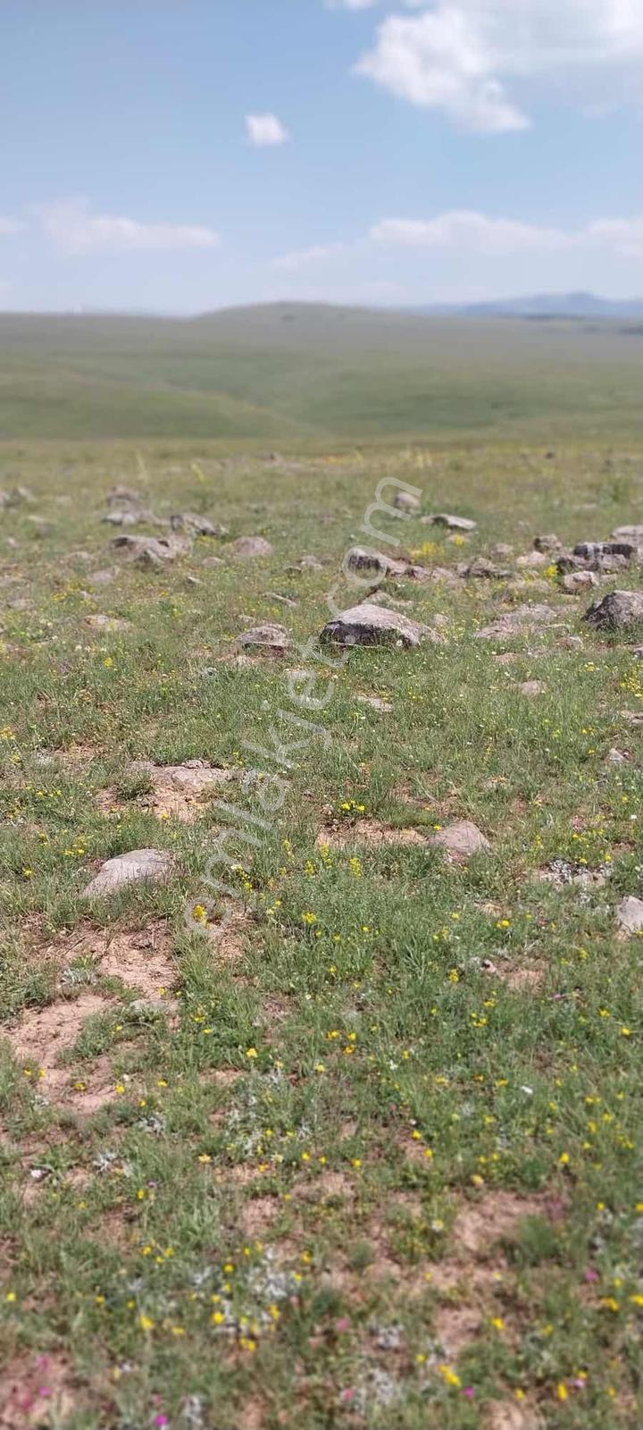 İspir Ortaören'de 6448 M² Tarla — fotoğraf 3