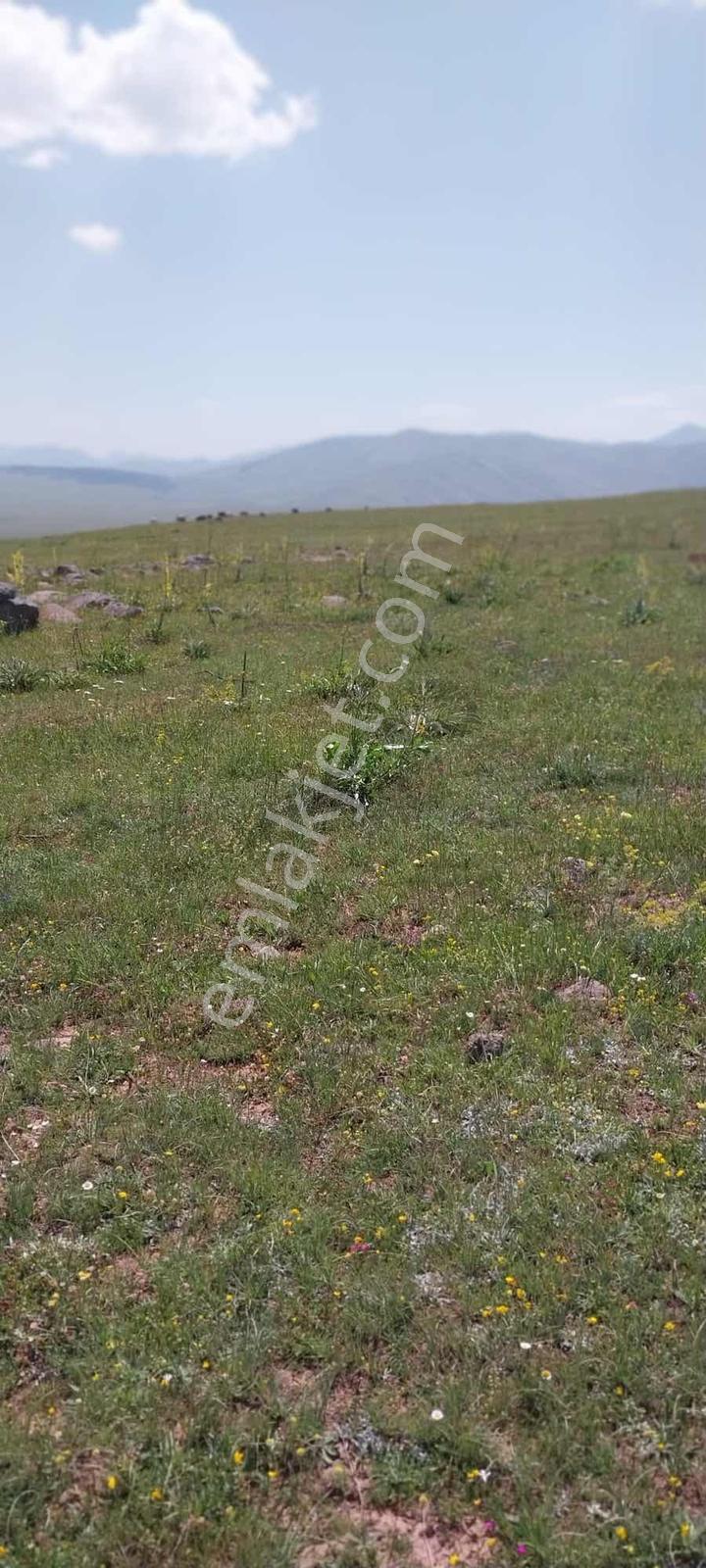 İspir Ortaören'de 6448 M² Tarla — fotoğraf 4