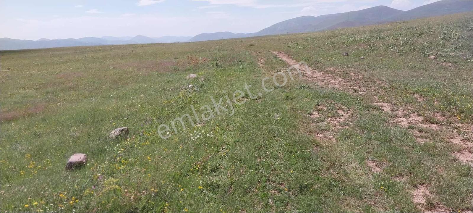 İspir Ortaören'de 6448 M² Tarla — fotoğraf 5