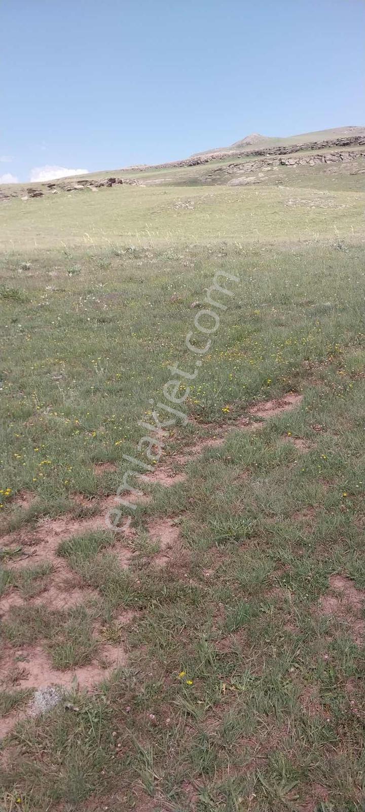 İspir Ortaören'de 6448 M² Tarla — fotoğraf 6