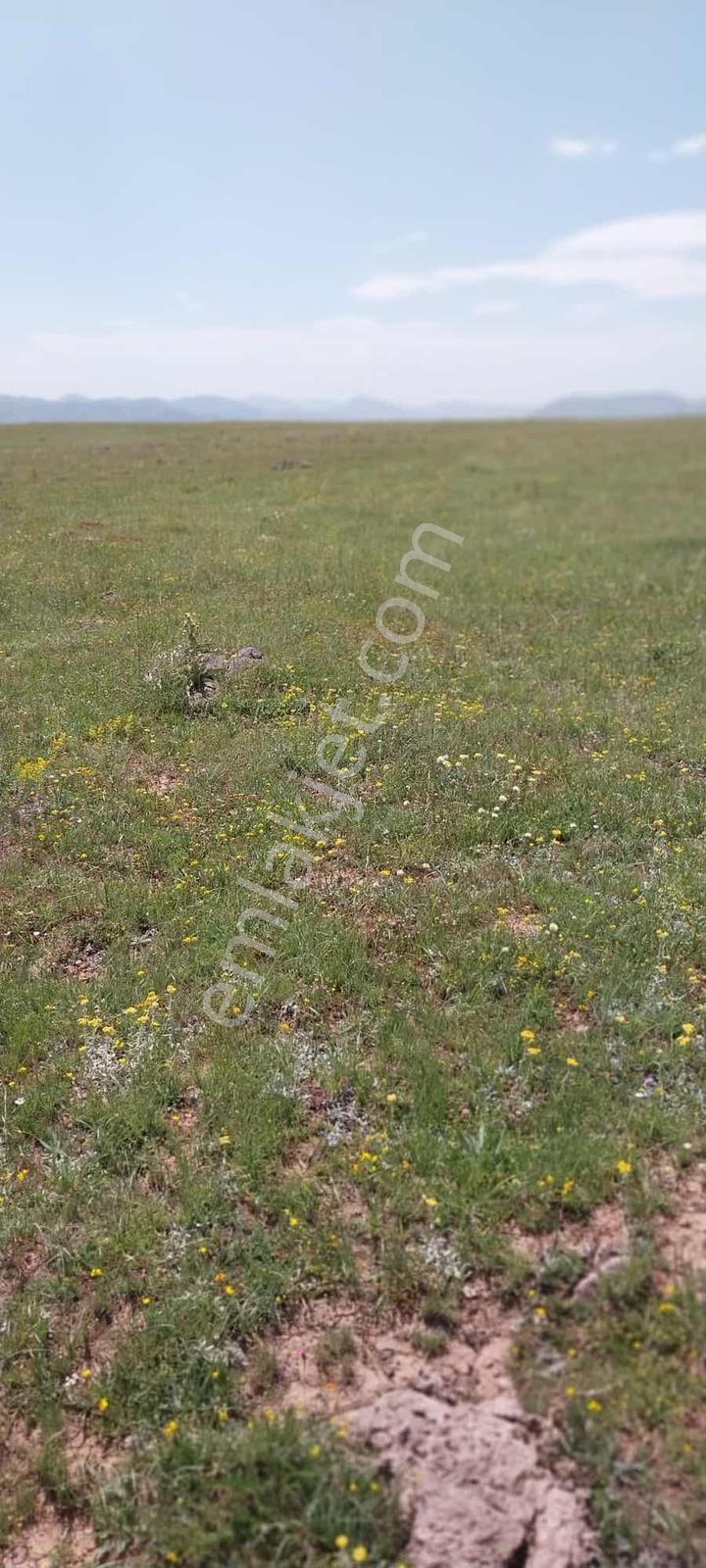 İspir Ortaören'de 6448 M² Tarla — fotoğraf 10