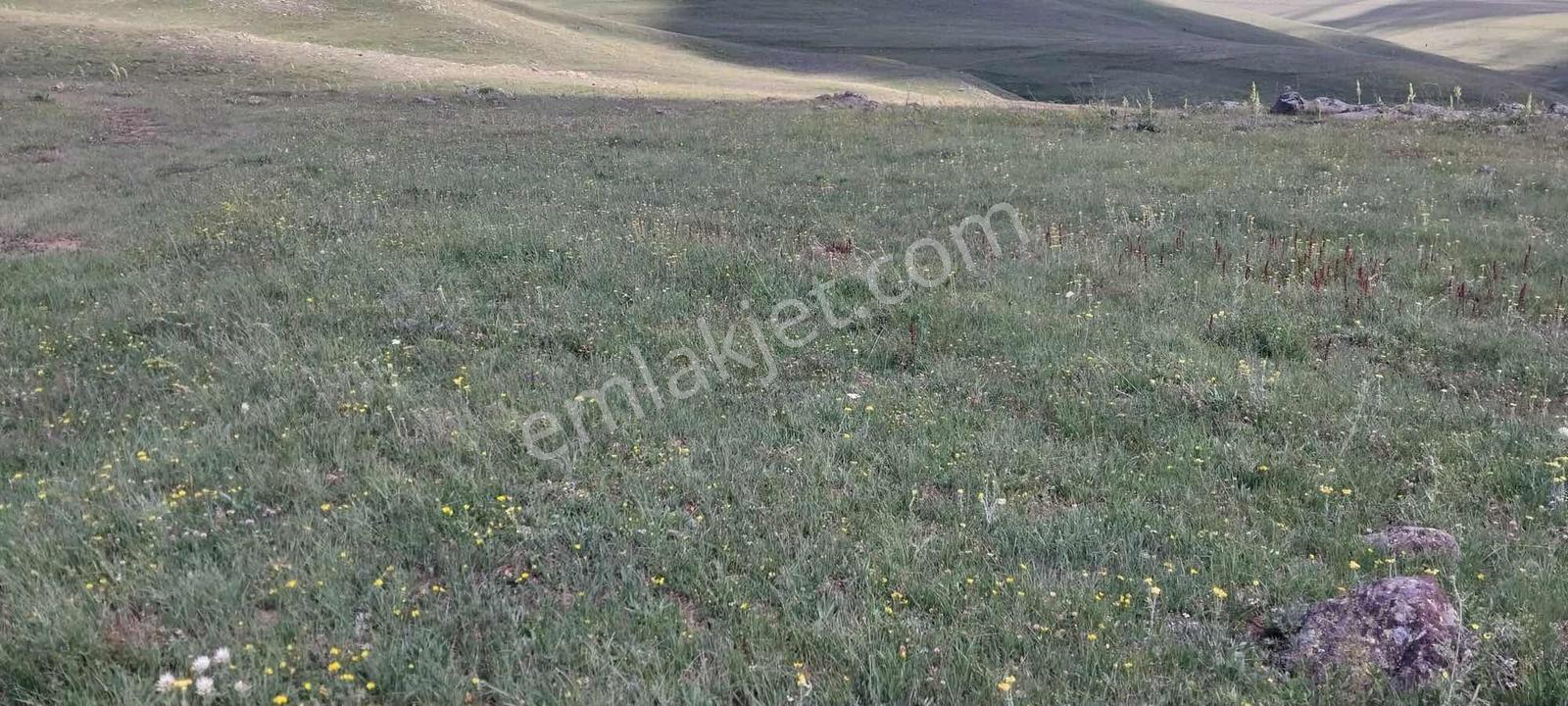 İspir Ortaören'de 6448 M² Tarla — fotoğraf 16