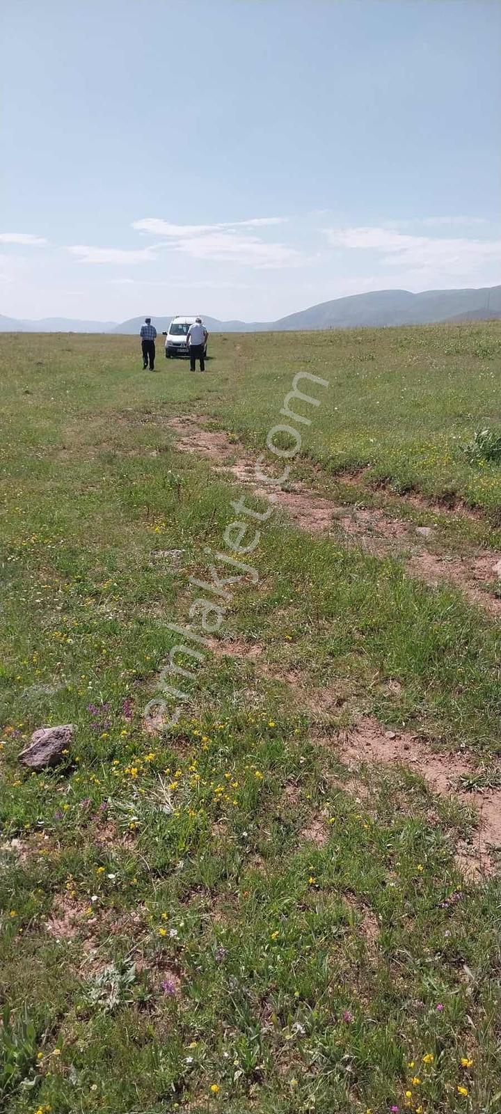 İspir Ortaören'de 6448 M² Tarla — fotoğraf 18