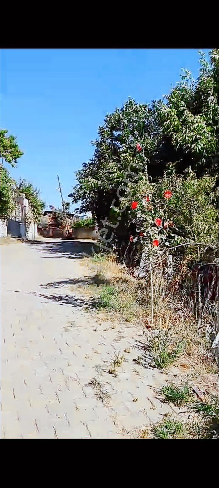 Toki Evlerine 100 M Satılık Tarla — fotoğraf 4