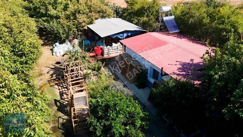 Bayındır Ergenlide 10 Dönüm Cevizlik İçinde Ruhsatlı Ev! — fotoğraf 2