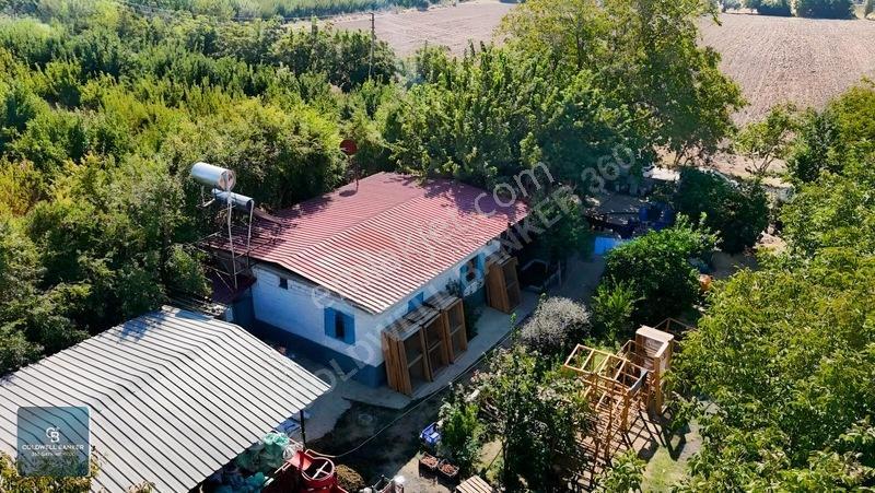 Bayındır Ergenlide 10 Dönüm Cevizlik İçinde Ruhsatlı Ev! — fotoğraf 11