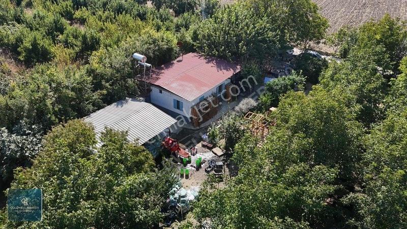 Bayındır Ergenlide 10 Dönüm Cevizlik İçinde Ruhsatlı Ev! — fotoğraf 12