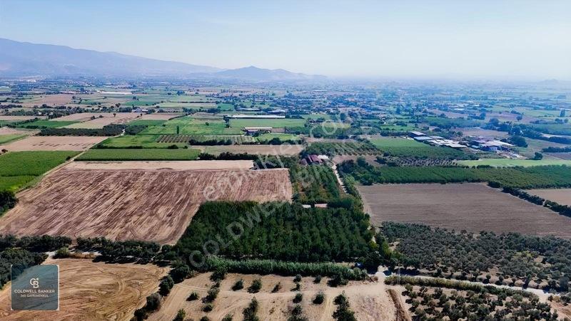 Bayındır Ergenlide 10 Dönüm Cevizlik İçinde Ruhsatlı Ev! — fotoğraf 17