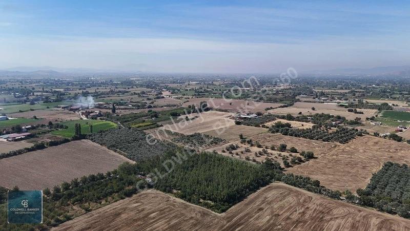 Bayındır Ergenlide 10 Dönüm Cevizlik İçinde Ruhsatlı Ev! — fotoğraf 19