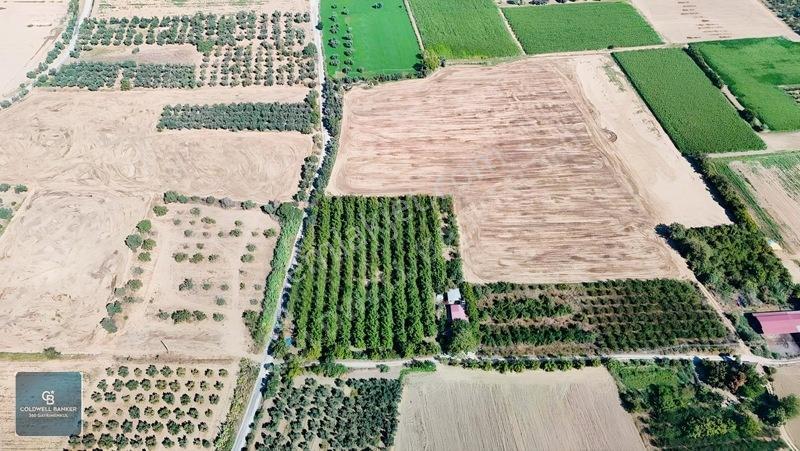 Bayındır Ergenlide 10 Dönüm Cevizlik İçinde Ruhsatlı Ev! — fotoğraf 25