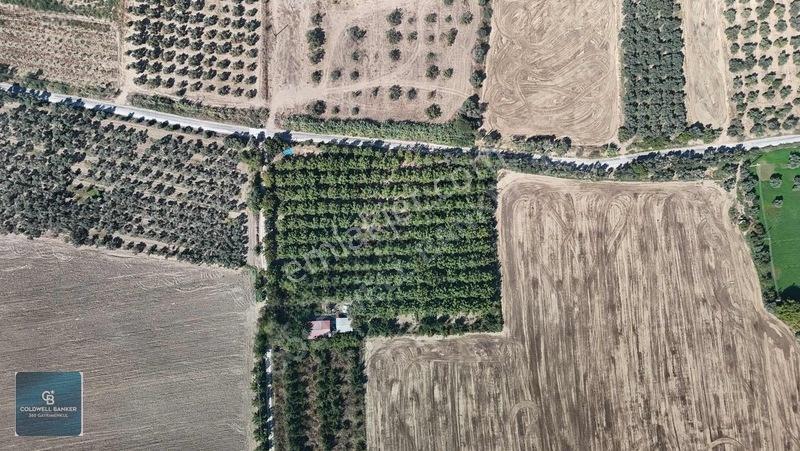 Bayındır Ergenlide 10 Dönüm Cevizlik İçinde Ruhsatlı Ev! — fotoğraf 26