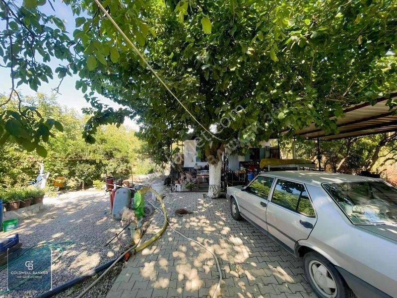 Bayındır Ergenlide 10 Dönüm Cevizlik İçinde Ruhsatlı Ev! — fotoğraf 30