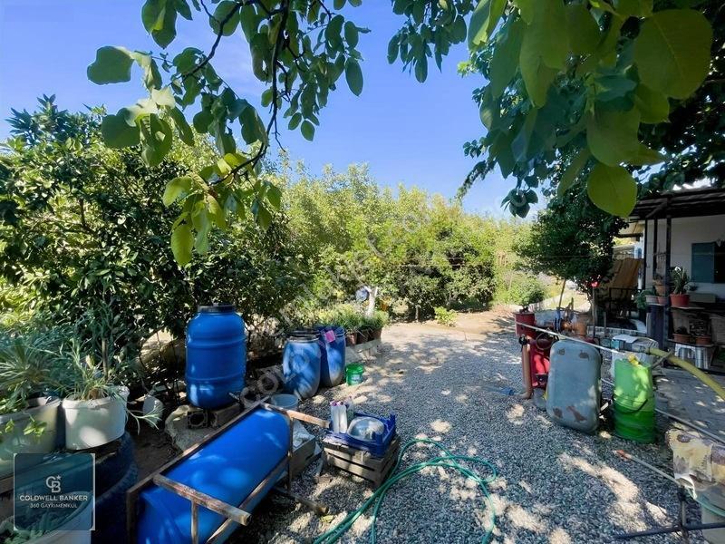 Bayındır Ergenlide 10 Dönüm Cevizlik İçinde Ruhsatlı Ev! — fotoğraf 31