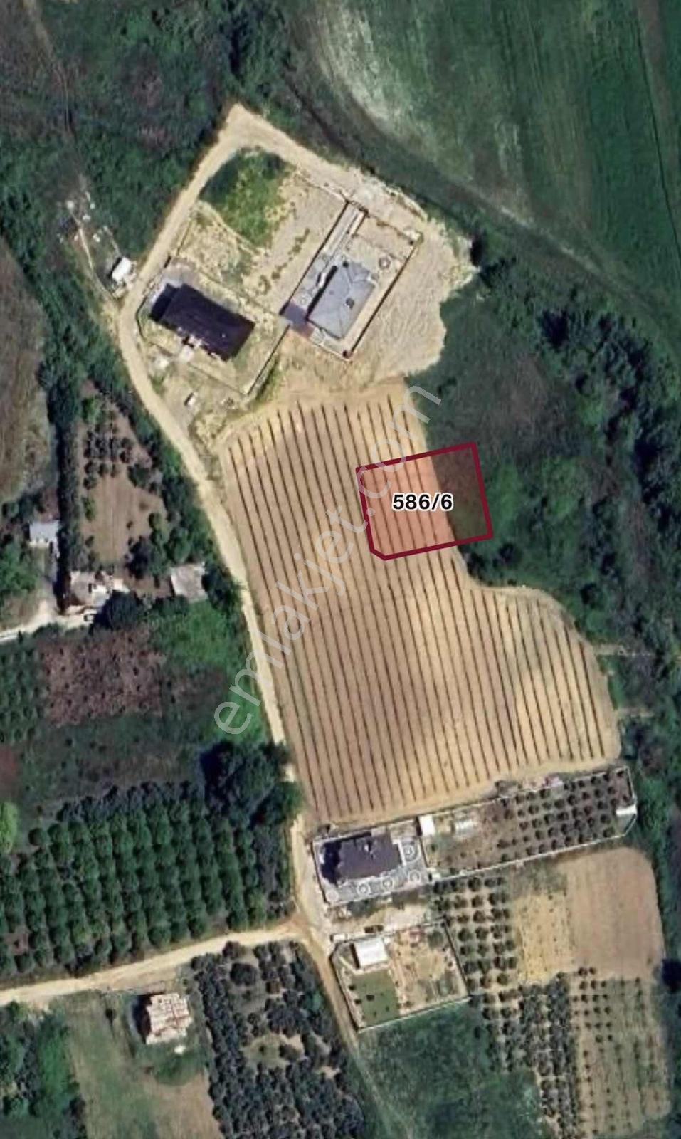 Evrenseki Mahallesinde Köşe Başı 1.005M2 Arsa