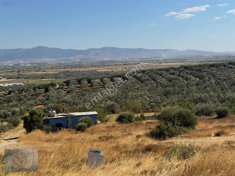 Türkelli'de Foça Yoluna Yakın 300 M² Hisseli Arsa — fotoğraf 5