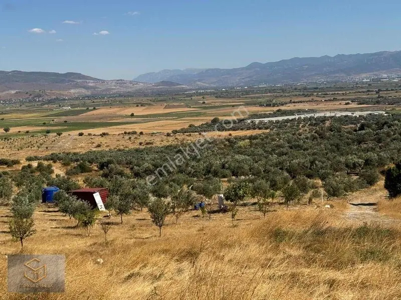 Türkelli'de Foça Yoluna Yakın 300 M² Hisseli Arsa — fotoğraf 13