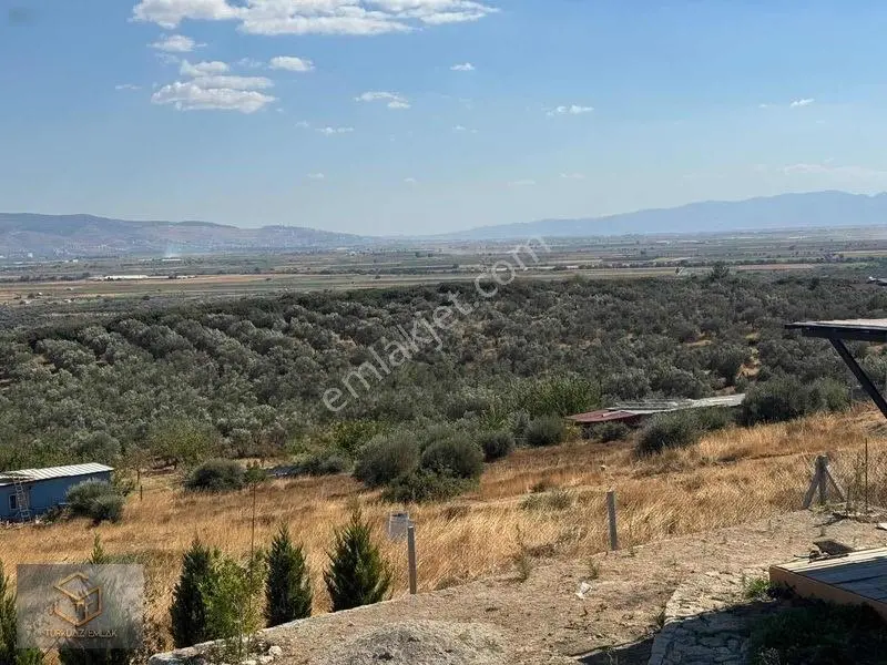 Türkelli'de Foça Yoluna Yakın 300 M² Hisseli Arsa — fotoğraf 16