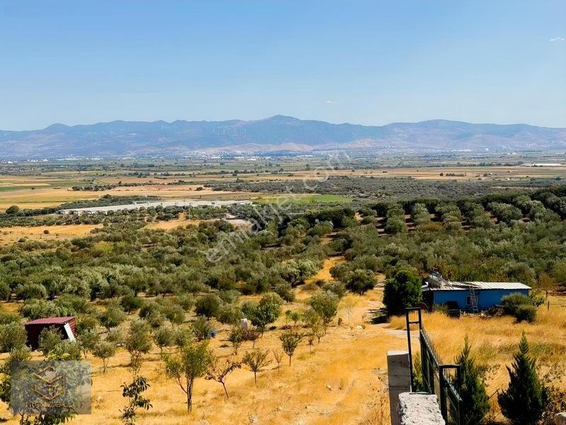 Türkelli'de Foça Yoluna Yakın 300 M² Hisseli Arsa — fotoğraf 21