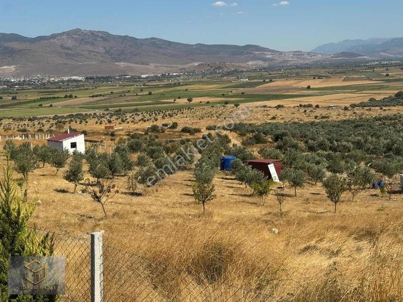Türkelli'de Foça Yoluna Yakın 300 M² Hisseli Arsa — fotoğraf 26