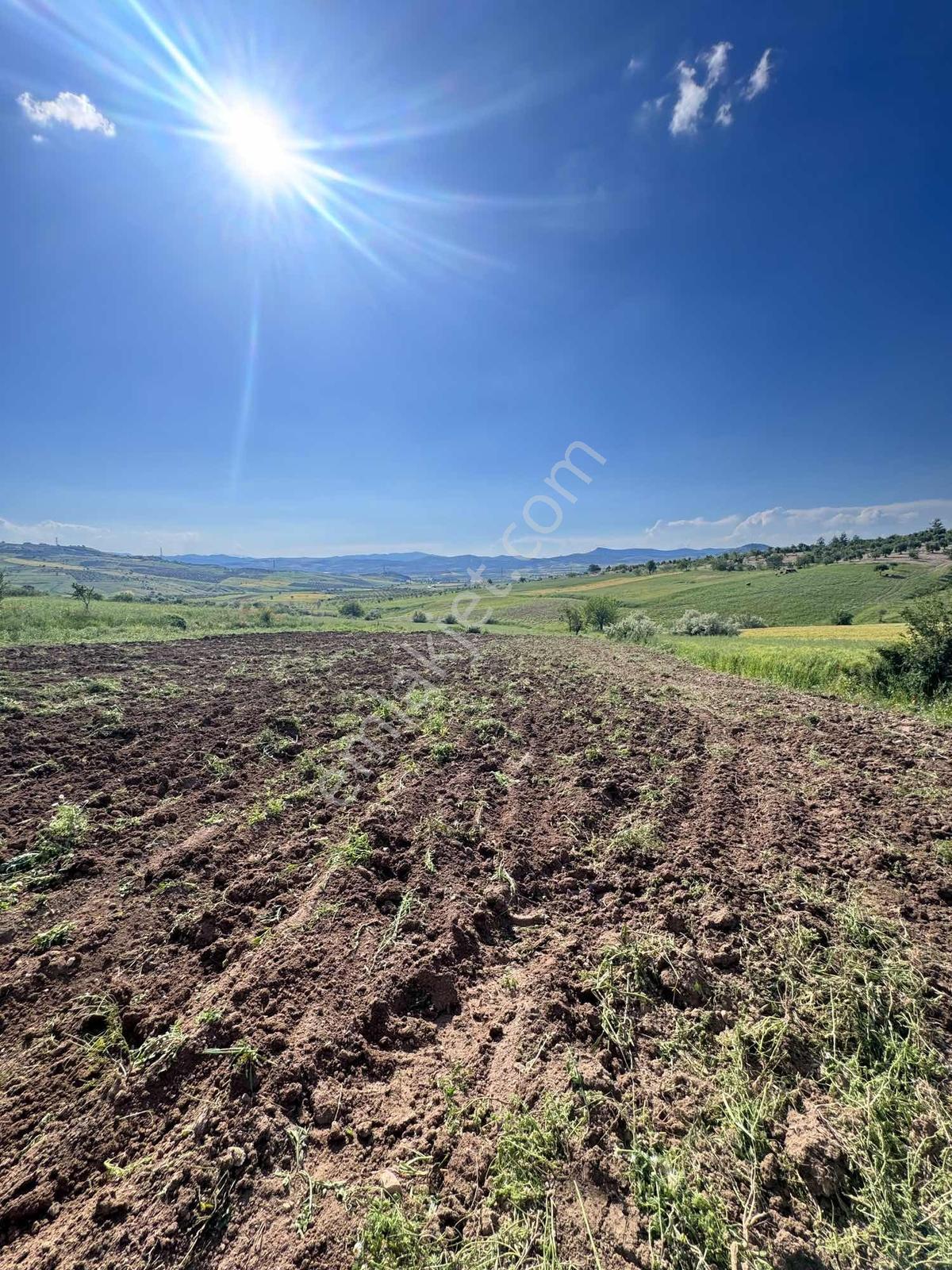 Hanedan Gyo'dan Burç Kalede Satılık Tek Tapu Yatırımlık Arazi — fotoğraf 6