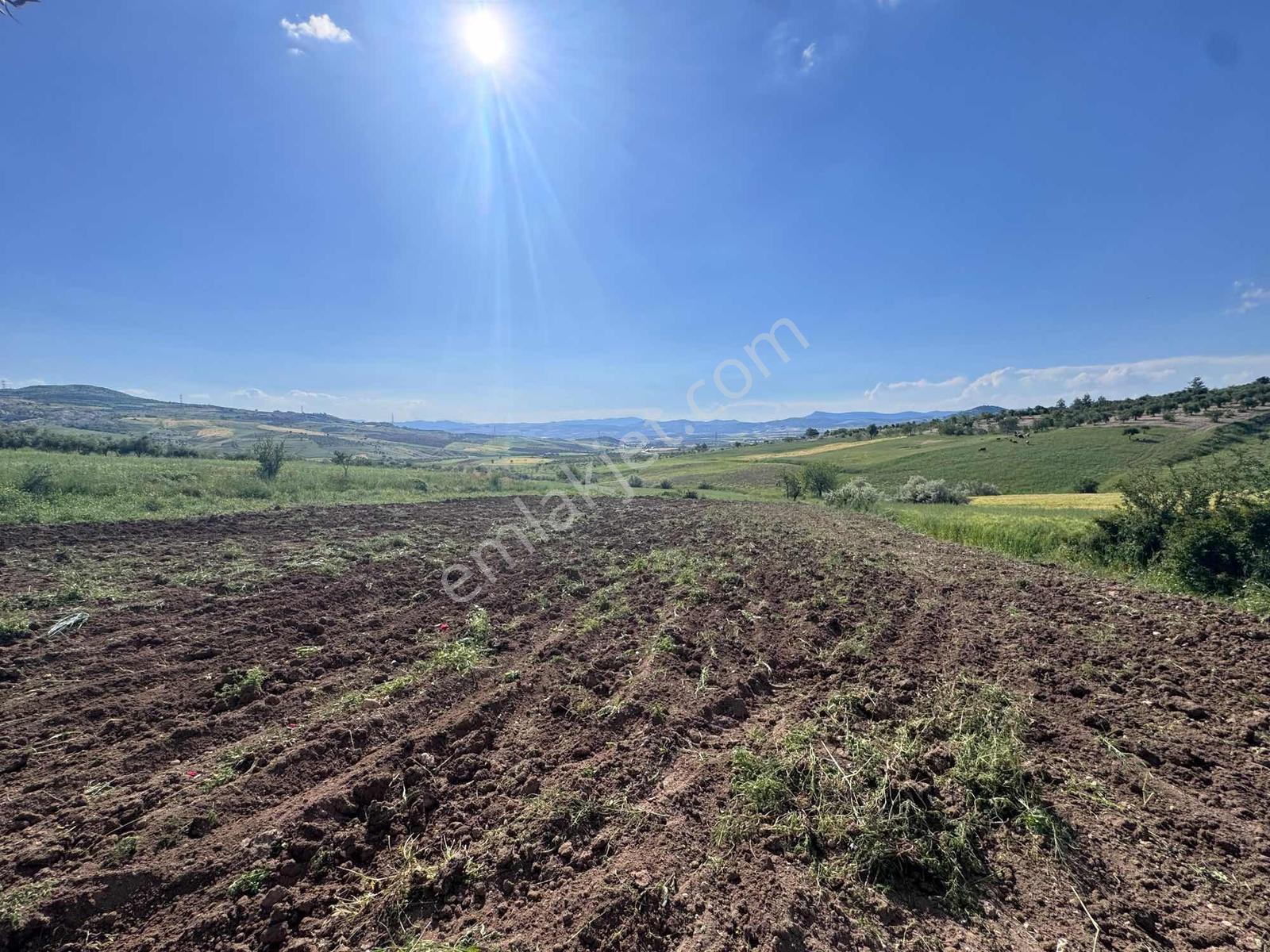 Hanedan Gyo'dan Burç Kalede Satılık Tek Tapu Yatırımlık Arazi — fotoğraf 8
