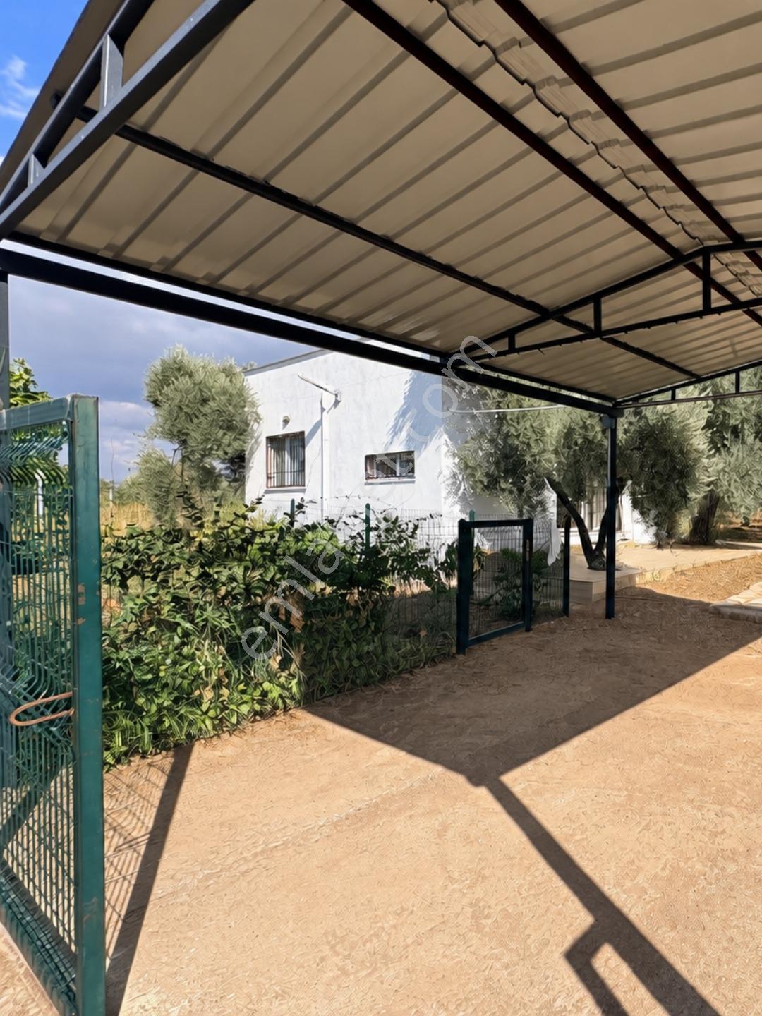 Menderes Dereköy Mahallesi'nde Satılık Tarla Bağ — fotoğraf 6