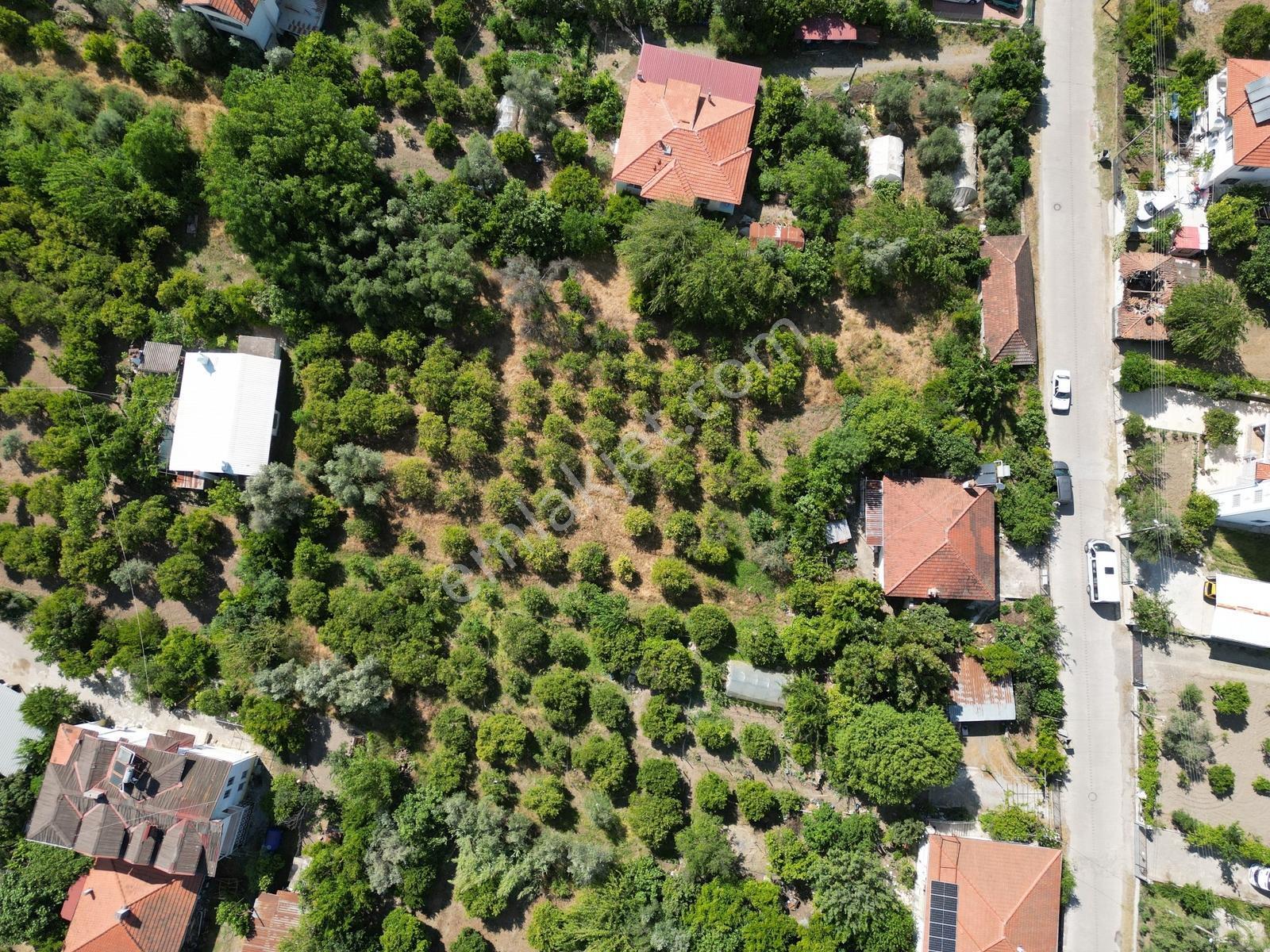 Köyceğiz Toparlar Mh. Müstakil Tapulu 2900 M² Satılık Arsa — fotoğraf 10