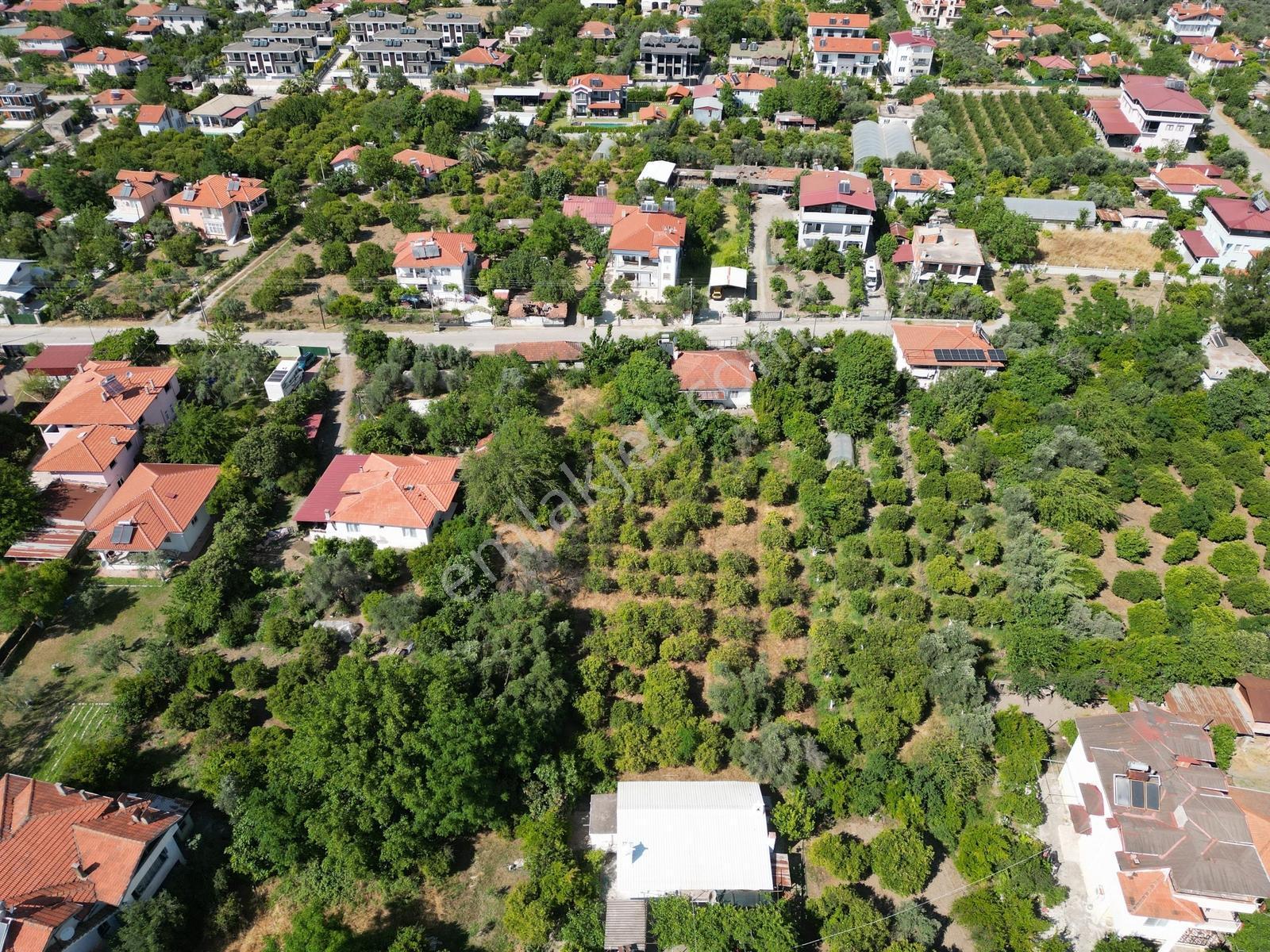 Köyceğiz Toparlar Mh. Müstakil Tapulu 2900 M² Satılık Arsa — fotoğraf 11