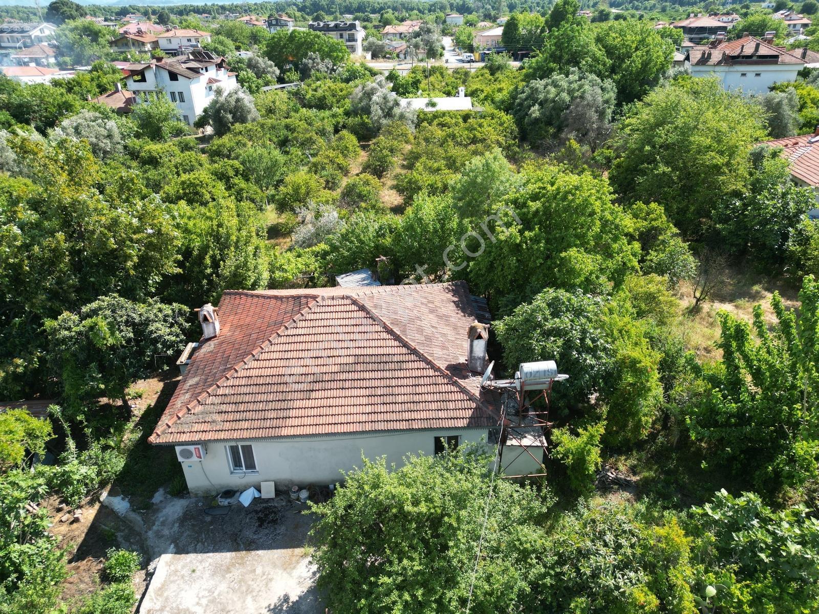Köyceğiz Toparlar Mh. Müstakil Tapulu 2900 M² Satılık Arsa — fotoğraf 26