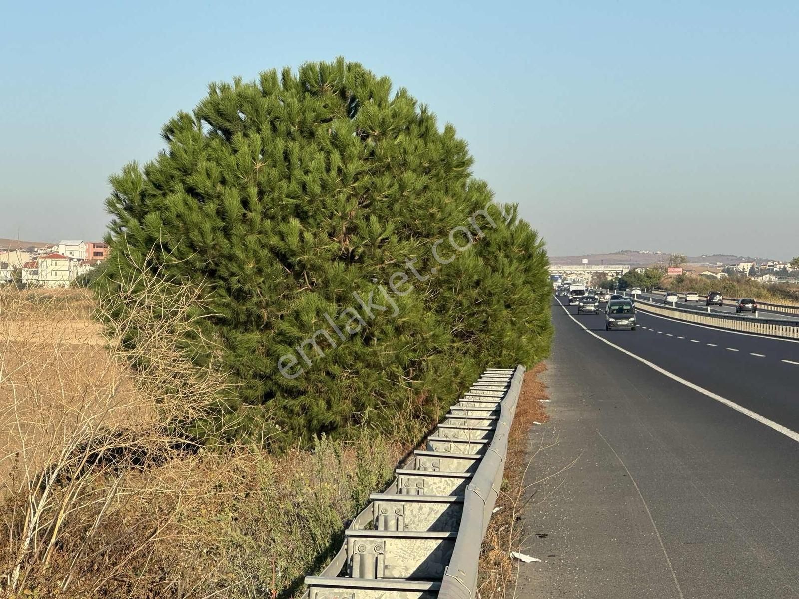 Marmaraereğlisi Çeşmeli De 170 M² Kat İrtifaklı Villa Arsası — fotoğraf 9