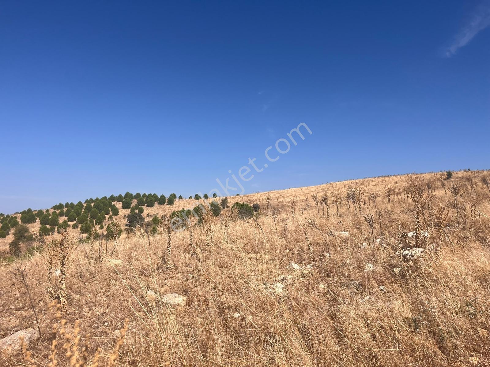 Berk Emlak'tan Köprübaşı Yabacı Köyünde Satılık Tarla — fotoğraf 16