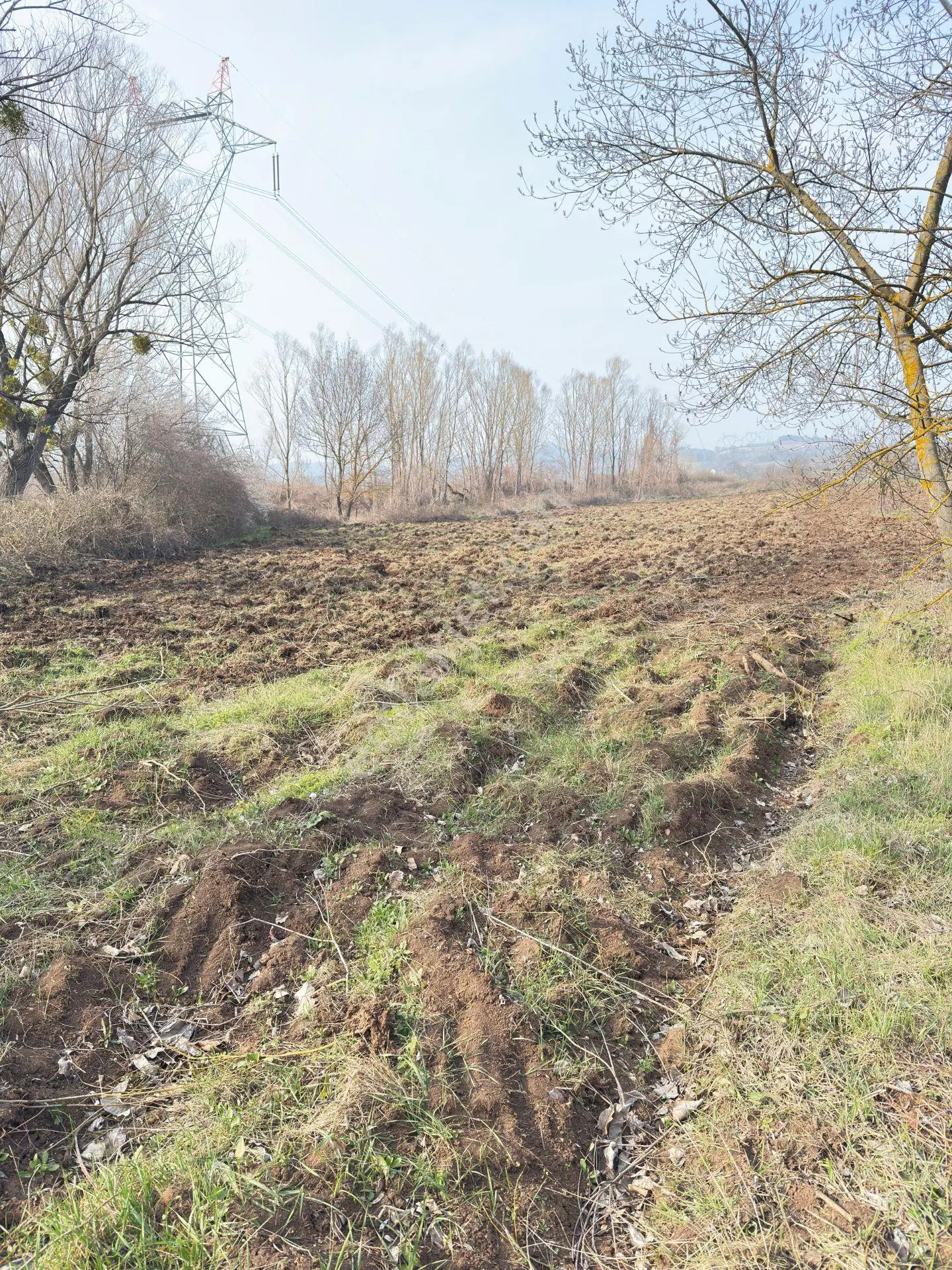 Bursa İnegöl Şehitler Mahallesınde 2176 M2 Tarla Bulut Emlaktan Satılıktır. — fotoğraf 5