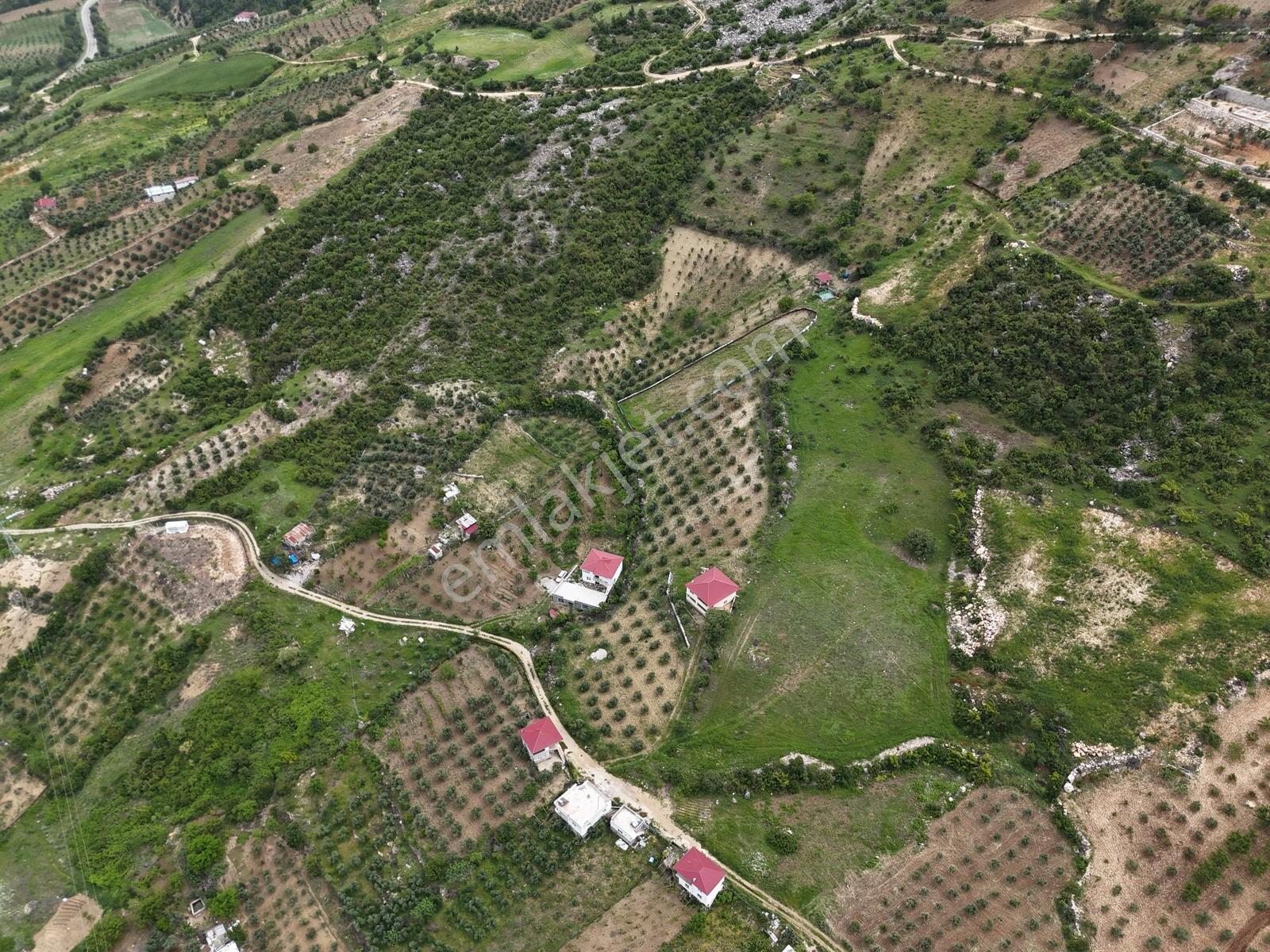 Yeni Rota'Dan Demrek'Te Tek Tapu Satılık Bağ Yeri