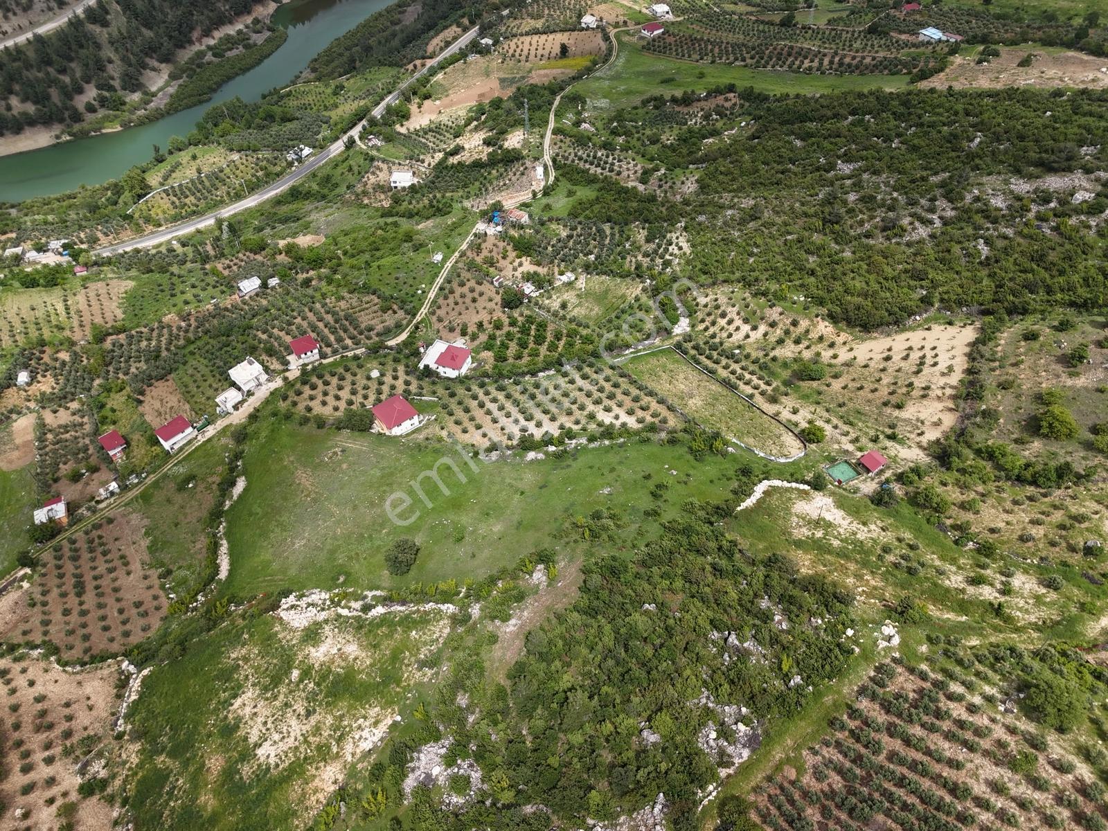 Yeni Rota'dan Demrek'te Tek Tapu Satılık Bağ Yeri — fotoğraf 6