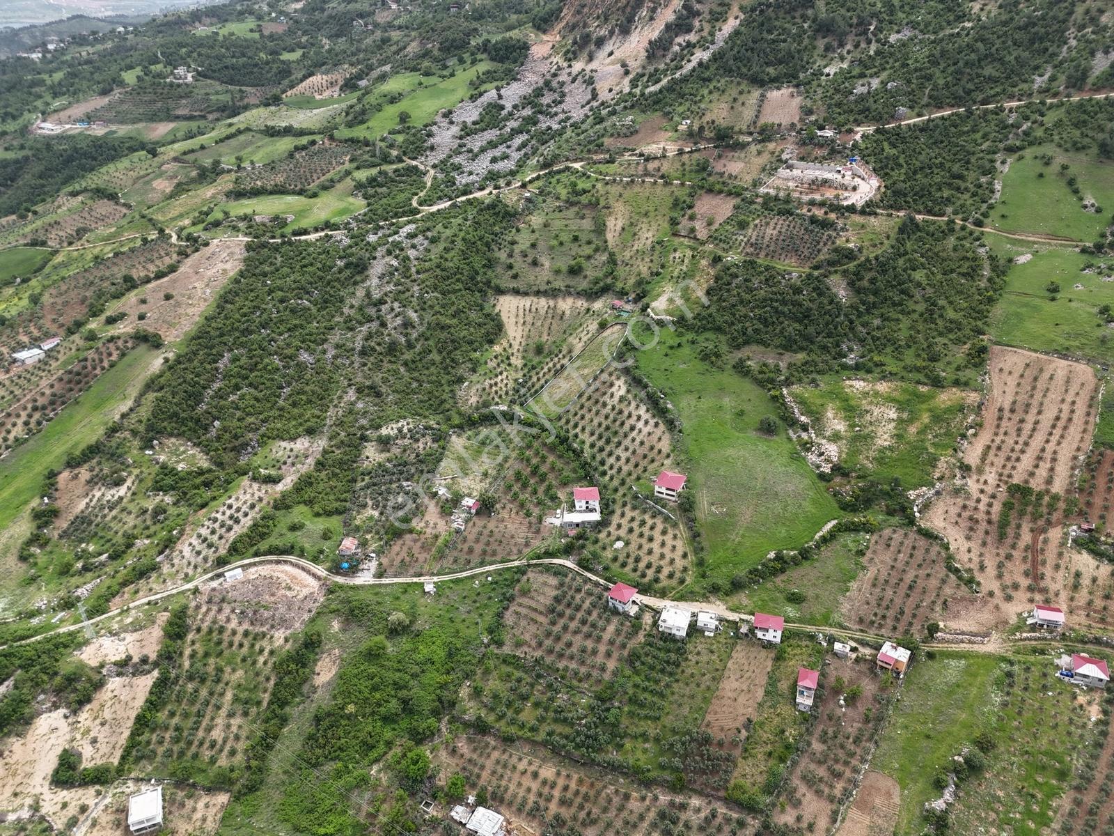 Yeni Rota'dan Demrek'te Tek Tapu Satılık Bağ Yeri — fotoğraf 7