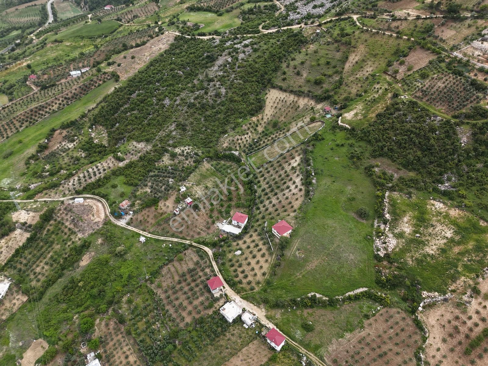 Yeni Rota'dan Demrek'te Tek Tapu Satılık Bağ Yeri — fotoğraf 8