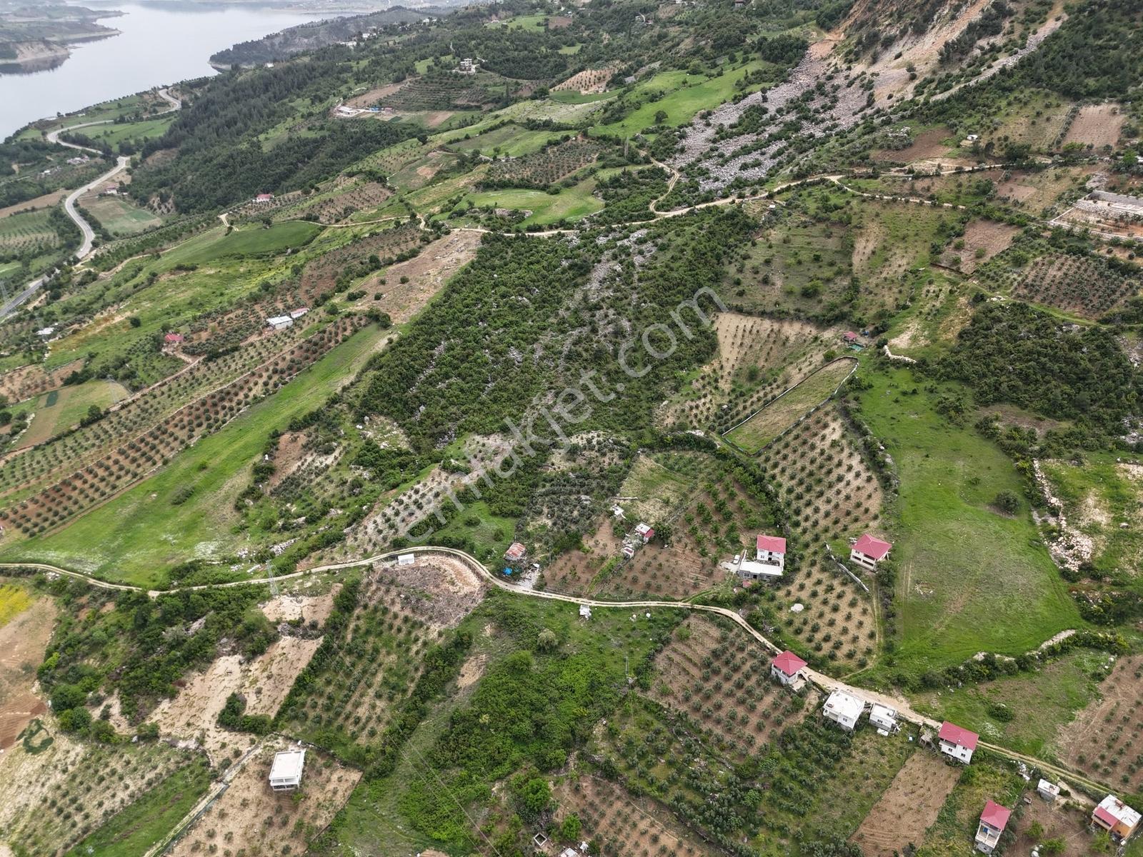Yeni Rota'dan Demrek'te Tek Tapu Satılık Bağ Yeri — fotoğraf 9