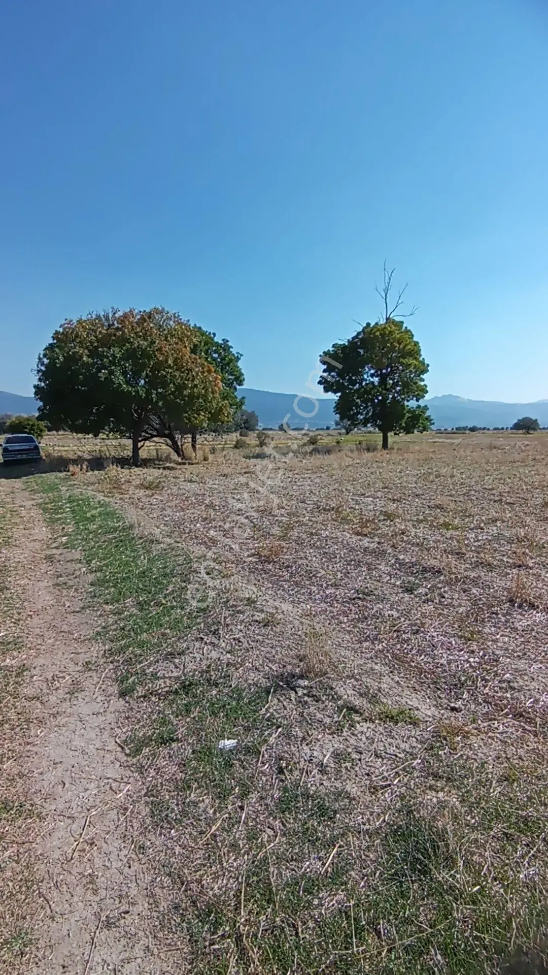 Wisrem'Den Keçiborlu Senir'De Satılık 1.000 M² Yatırımlık Tarla