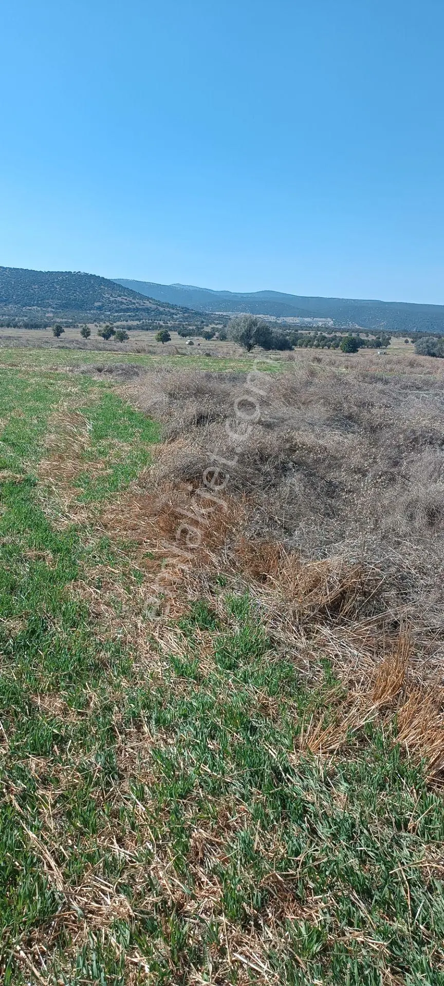 Wisrem'den Keçiborlu Senir'de Satılık 1.000 M² Yatırımlık Tarla — fotoğraf 2