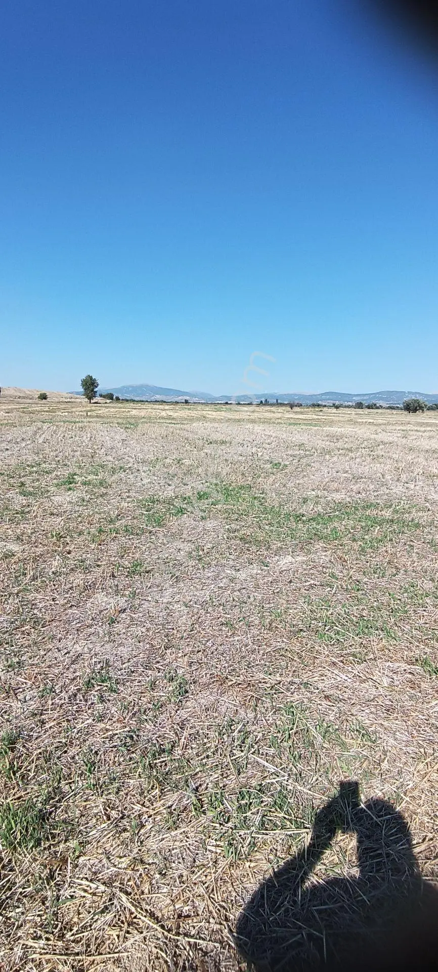Wisrem'den Keçiborlu Senir'de Satılık 1.000 M² Yatırımlık Tarla — fotoğraf 3