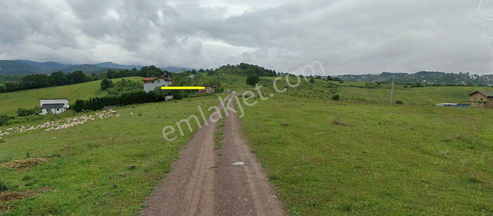 Termal Yenimahalle'de Doğa Manzaralı 350 M² Villa İmarlı Arsa — fotoğraf 12