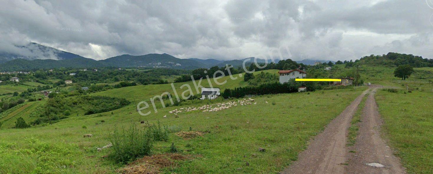 Termal Yenimahalle'de Doğa Manzaralı 350 M² Villa İmarlı Arsa — fotoğraf 13