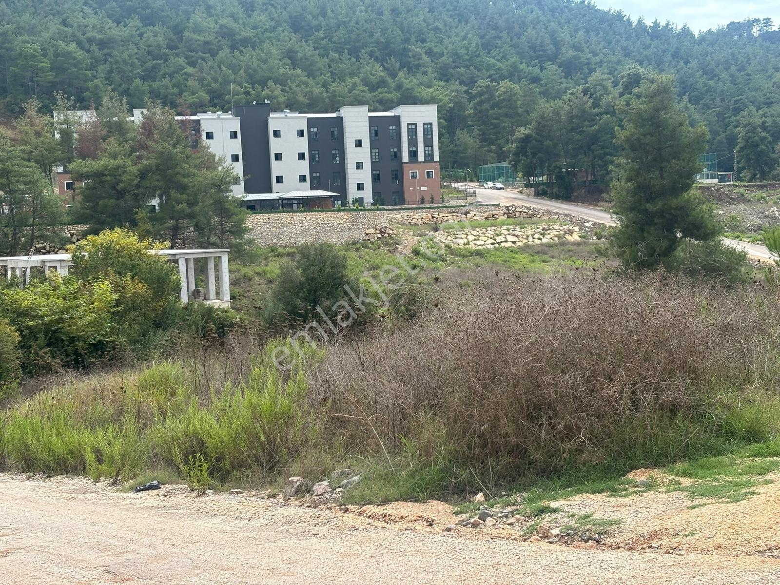 Oflaz Emlaktan Satılık 2 Adet Arsa — fotoğraf 4