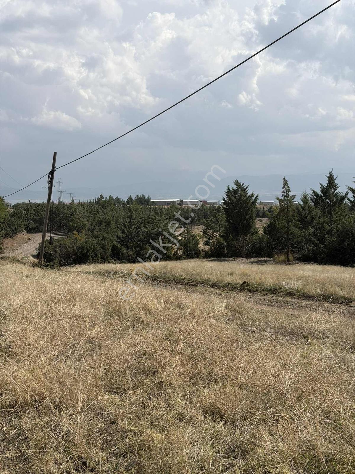Karakent'te 4800m2 Tek Tapu Göl Manzaralı Fırsat Parsel — fotoğraf 3