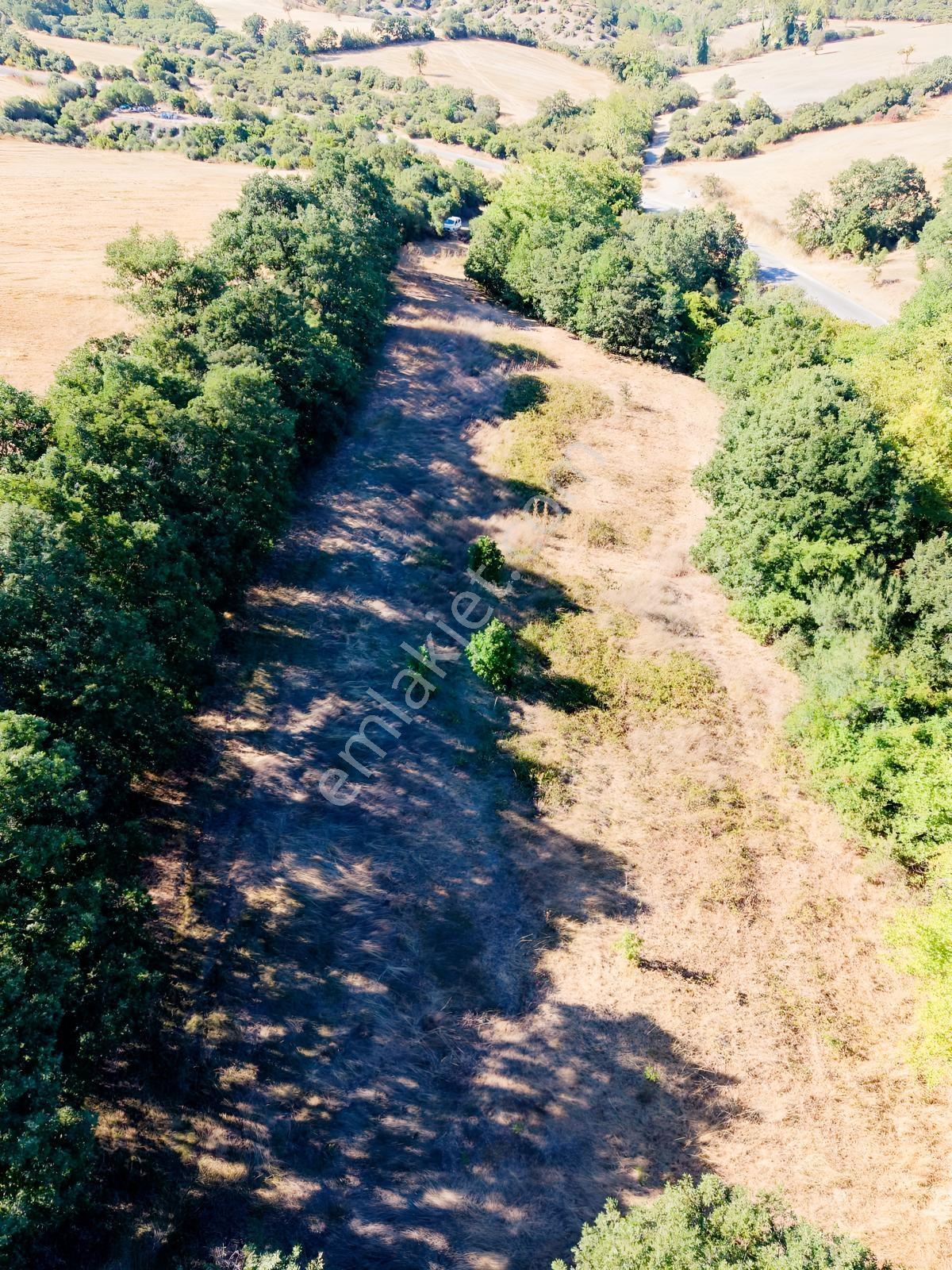 Biga Bezirganlar Yola Cepheli 4 Dönüm Yatırımlık Tarla — fotoğraf 6
