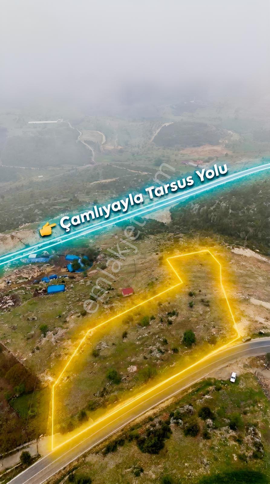 Ra Gayrmenkul Çamlıyayla Sarıkavak Hayvancılığa Uygun Arazi — fotoğraf 4