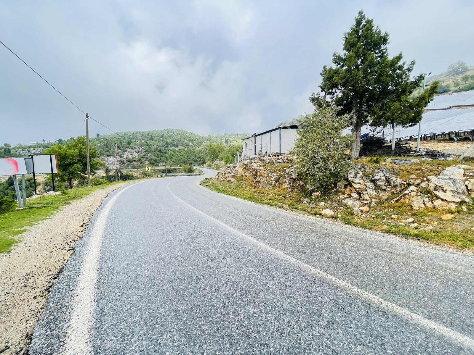 Ra Gayrmenkul Çamlıyayla Sarıkavak Hayvancılığa Uygun Arazi — fotoğraf 16