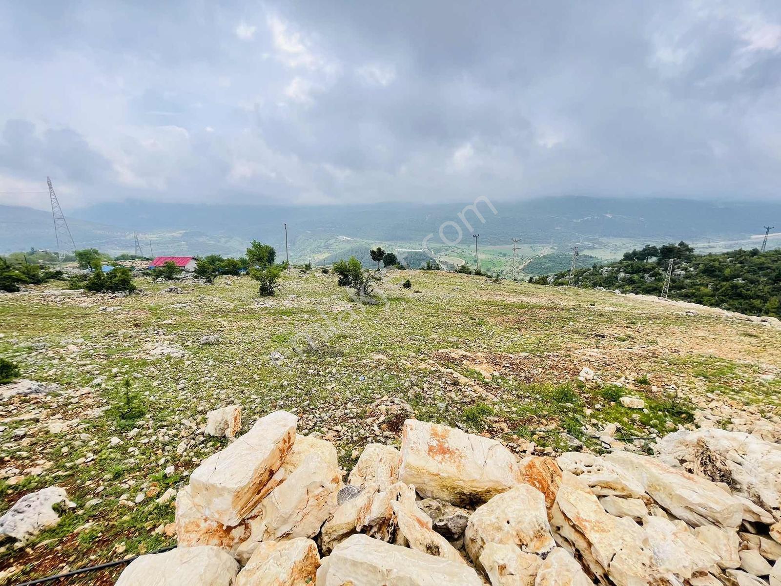 Ra Gayrmenkul Çamlıyayla Sarıkavak Hayvancılığa Uygun Arazi — fotoğraf 18