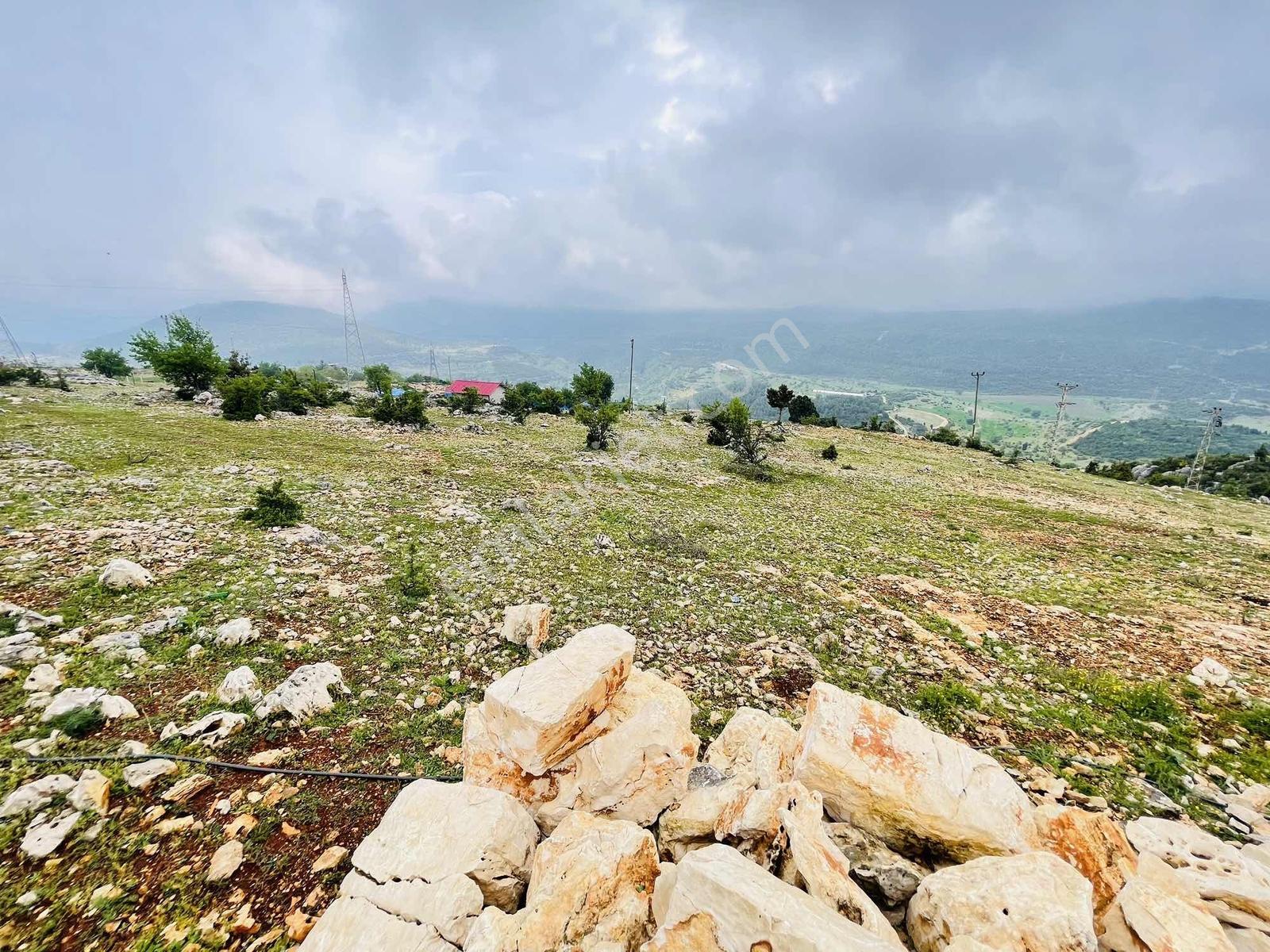Ra Gayrmenkul Çamlıyayla Sarıkavak Hayvancılığa Uygun Arazi — fotoğraf 19